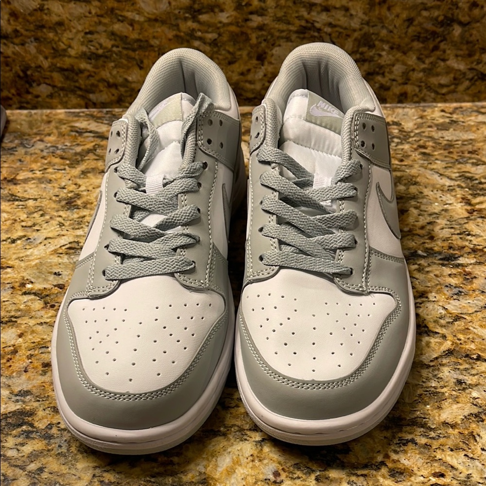 Nike Dunks low retro